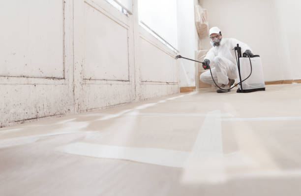 24/7 Emergency Commercial Mold Remediation experts in Paris, TX